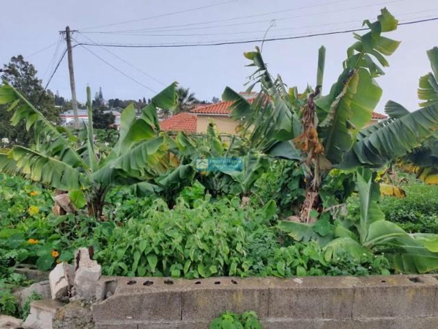 Terrenos Funchal Funchal DS97118589