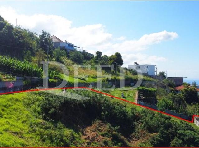 Terrenos Funchal Funchal DS97122740