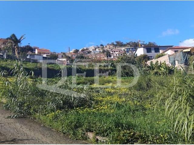 Terrenos Funchal Funchal DS99271922