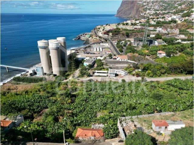 Terrenos Funchal Funchal DS99378449