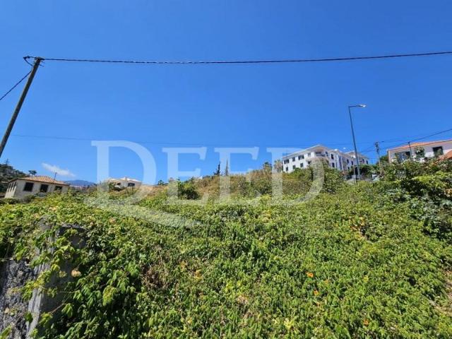 Terrenos Funchal Funchal DS102572577