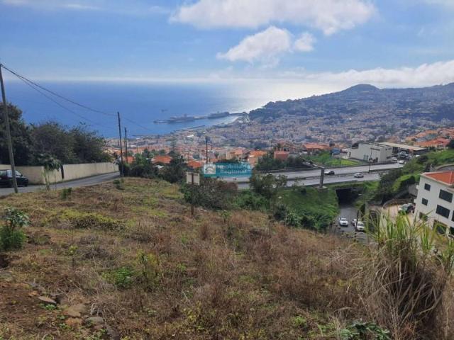 Terrenos Funchal Funchal DS102871671