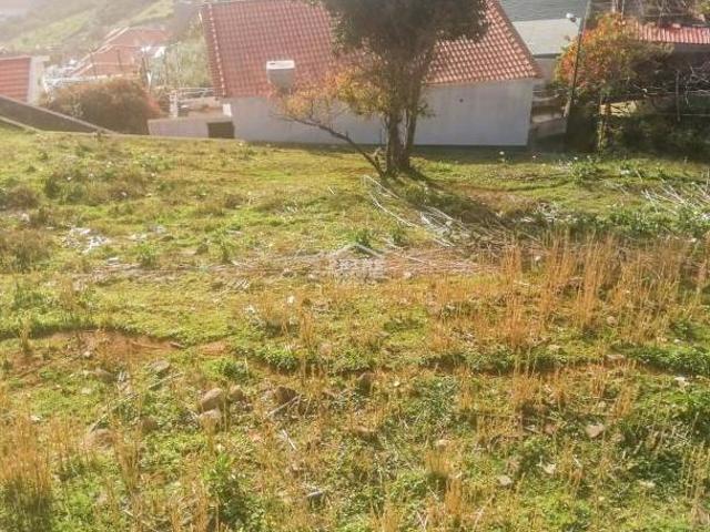 Terrenos Funchal Ilha da Madeira DLS59833504