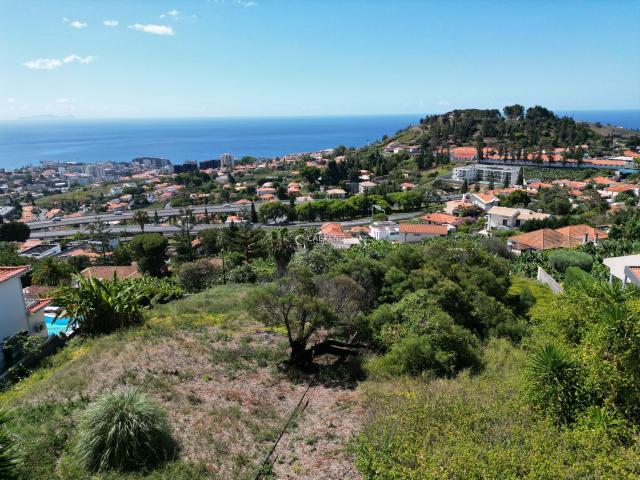 Terrenos Funchal Ilha da Madeira DLS78206145