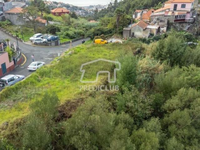 Terrenos Funchal Ilha da Madeira DLS86681291