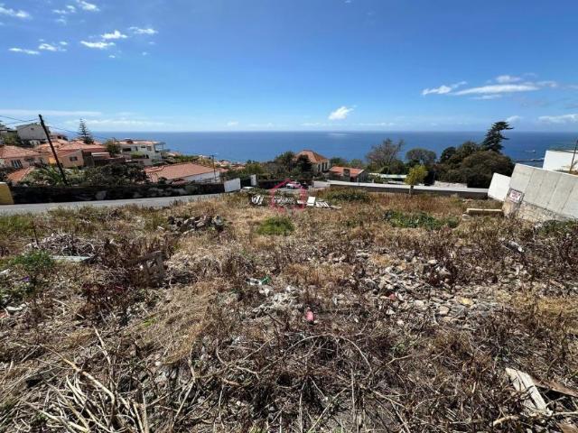 Terrenos Funchal Ilha da Madeira DLS88948454