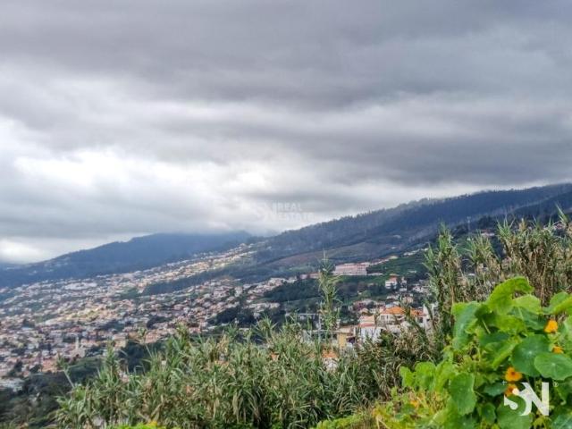Terrenos Funchal Ilha da Madeira DLS93499175