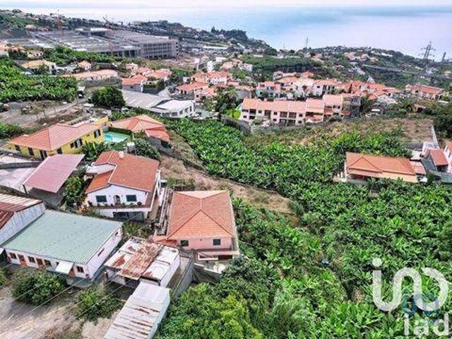 Terrenos Funchal Ilha Da Madeira DLS95717252