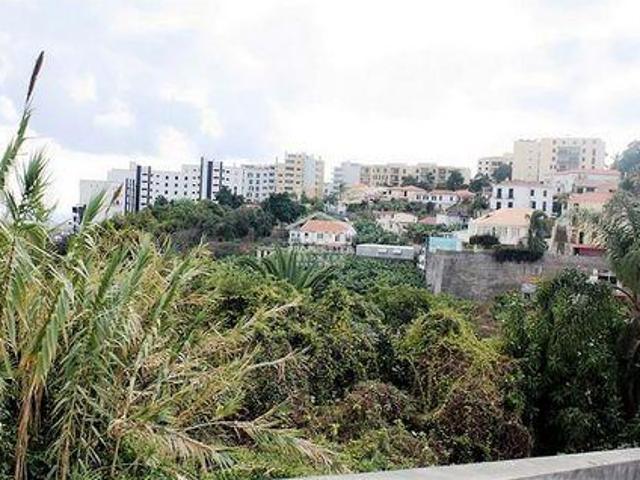 Terrenos Funchal Ilha da Madeira DLS96309631