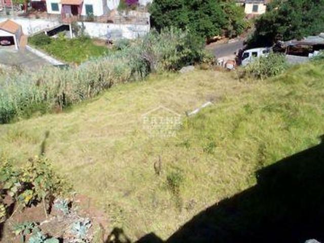 Terrenos Funchal Ilha da Madeira DLS96309632