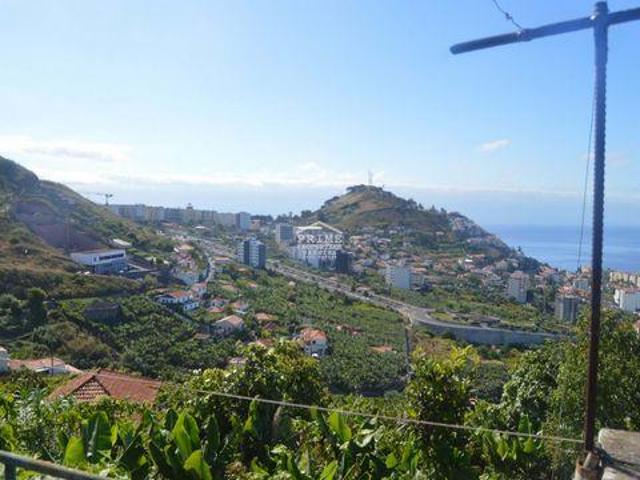 Terrenos Funchal Ilha da Madeira DS96309637