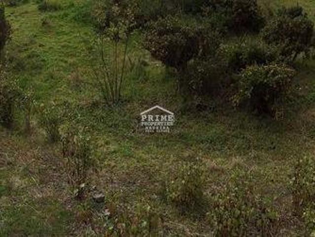 Terrenos Funchal Ilha da Madeira DS96309641