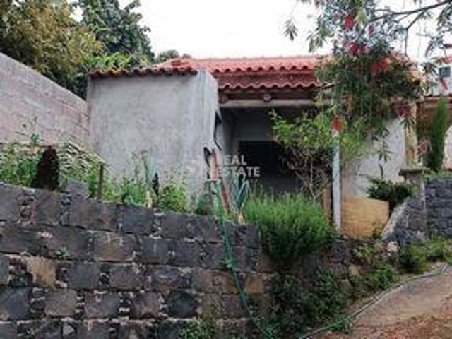 Terrenos Funchal Ilha da Madeira DS96313569