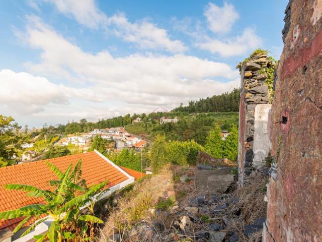 Terrenos Funchal Ilha da Madeira DS99723266