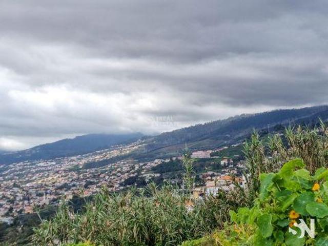 Terrenos Funchal Ilha da Madeira DS93586039