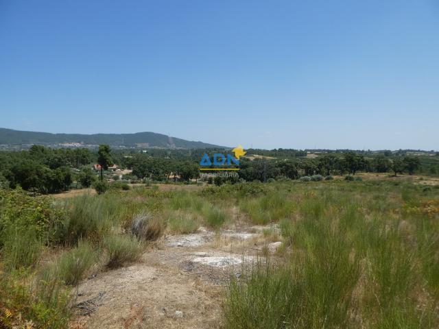 Terrenos Fundão Castelo Branco DLS76349191