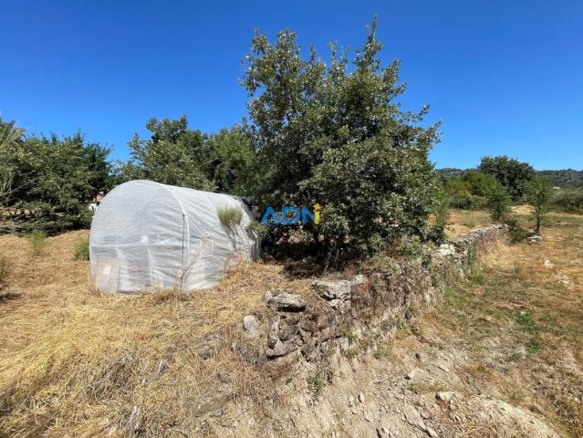 Terrenos Fundão Castelo Branco DLS92823605