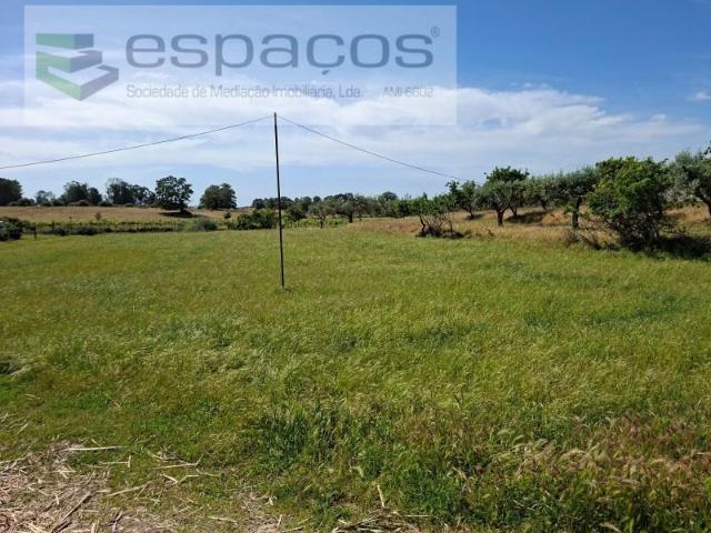 Terrenos Fundão Fundão DLS102221376
