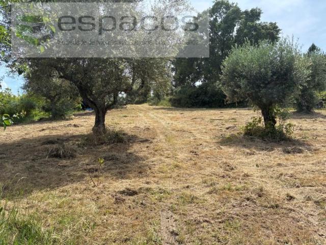 Terrenos Fundão Fundão DLS102526809