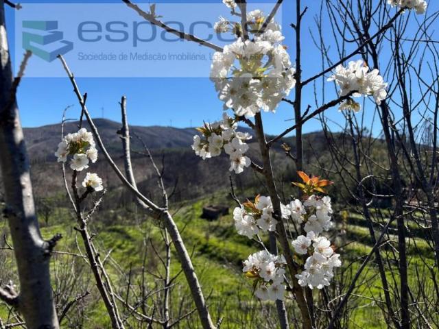 Terrenos Fundão Fundão DS100846360