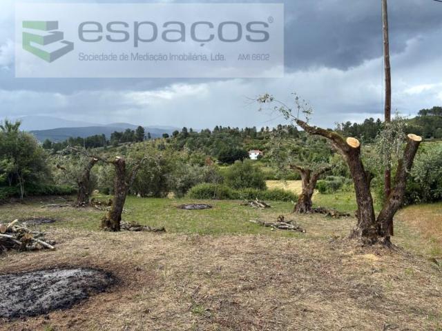 Terrenos Fundão Fundão DS99311077