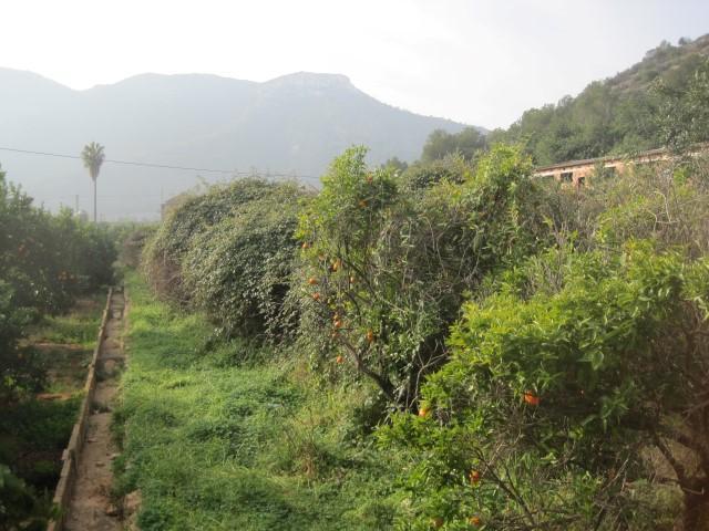 Terrenos Gandia Valencia 100669844