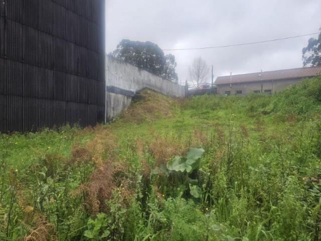Terrenos Gondomar Gondomar DLS99288317