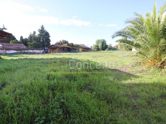 Terrenos Golegã Golegã 2150 196 DLS97121810