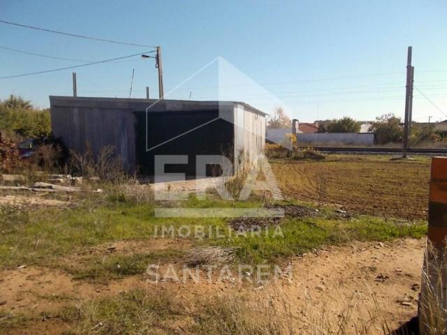 Terrenos Golegã Golegã DLS100108639