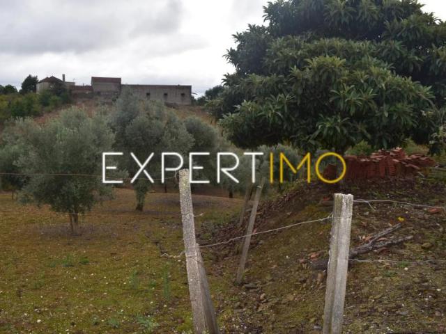 Terrenos Graça Leiria DS102754876