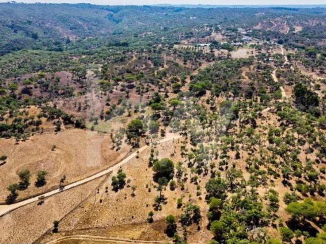 Terrenos Grândola Grândola DLS99514214