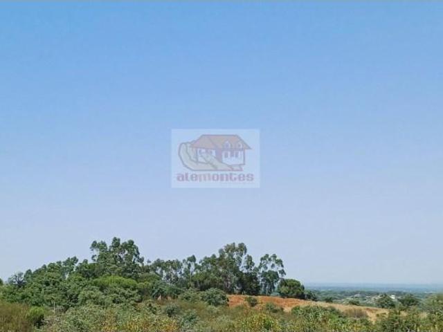 Terrenos Grândola Grândola DLS101035937