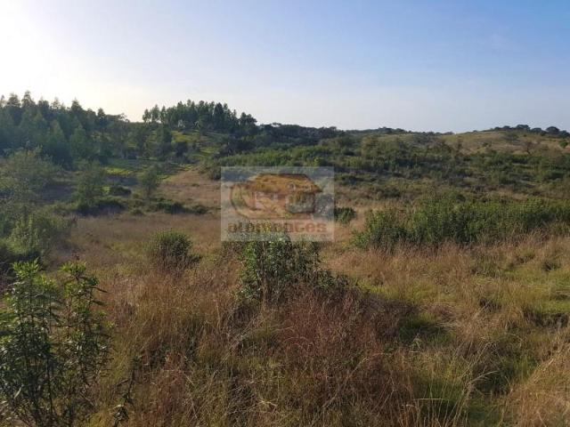 Terrenos Grândola Grândola DLS101035939