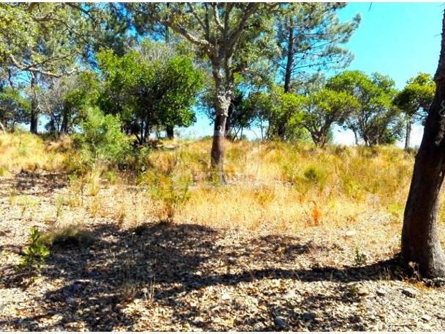 Terrenos Grândola Grândola DLS101035943