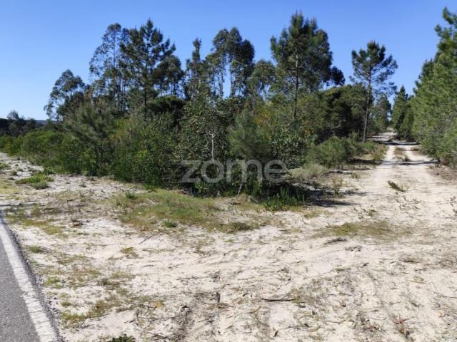 Terrenos Grândola Grândola DS102558464