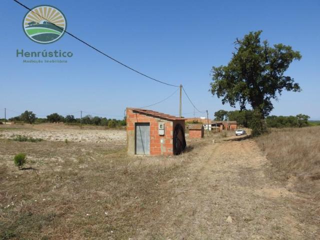 Terrenos Grândola Grândola DS98654860