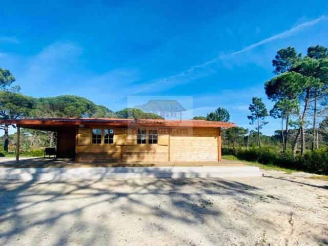 Terrenos Grândola Grândola DS90377213