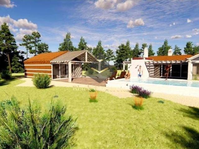 Terrenos Grândola Setúbal DLS86008308
