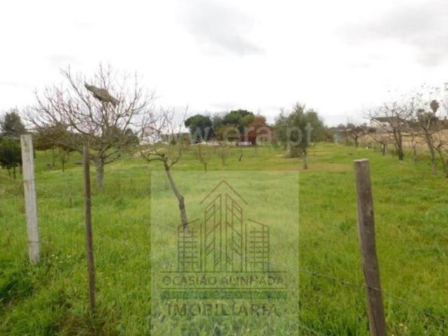 Terrenos Guarda Seia 6270 DS98420829