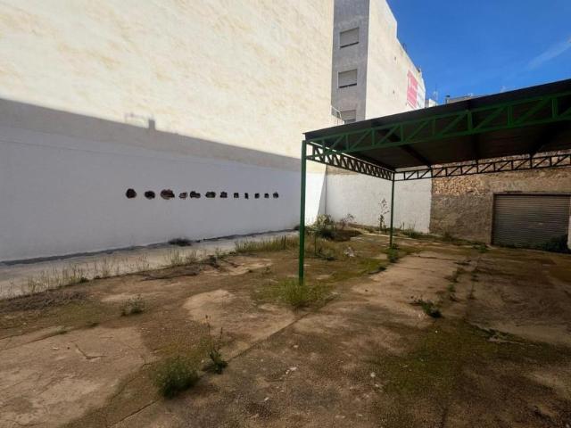 Terrenos Guardamar Del Segura Alicante 98362189