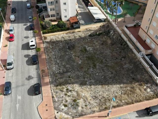 Terrenos Guardamar Del Segura Alicante 100671411