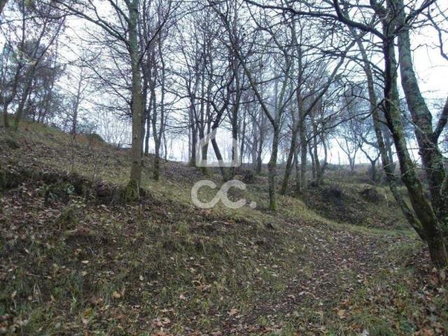 Terrenos Guimarães Braga DLS79073815