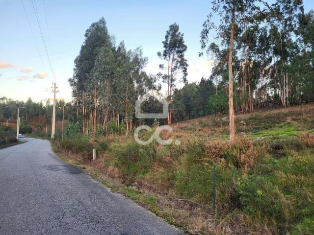 Terrenos Guimarães Braga DLS79074102