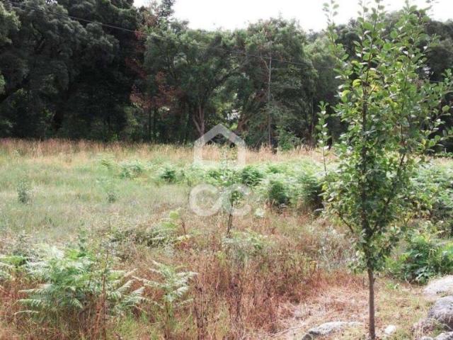 Terrenos Guimarães Braga DS79073842