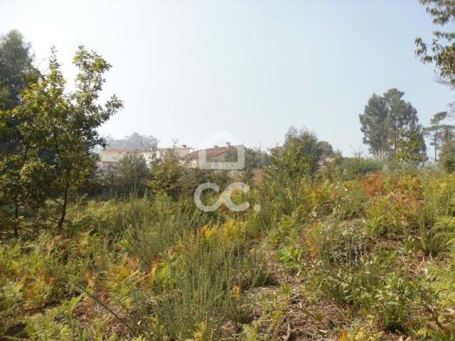 Terrenos Guimarães Braga DS79073831