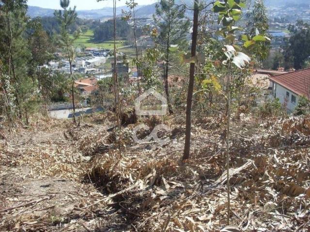 Terrenos Guimarães Braga DS79073836