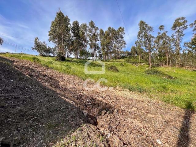 Terrenos Guimarães Braga DS89634638