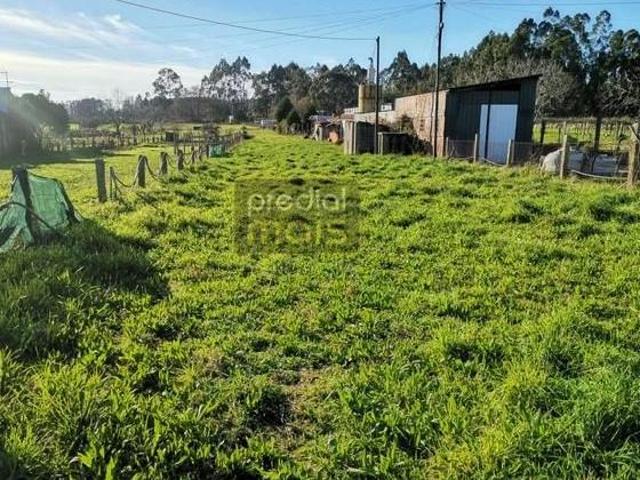 Terrenos Guimarães Guimarães DS97121329