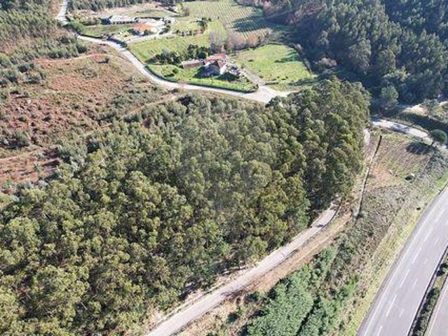 Terrenos Guimaraes Braga DS100021281