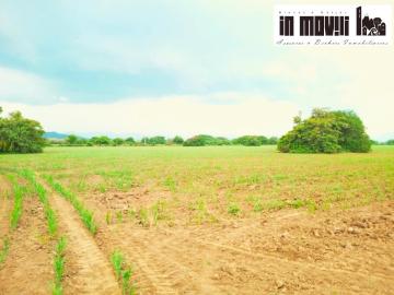 TERRENOS – HECTAREAS EN VENTA EN SALINA CRUZ TEHUANTEPEC